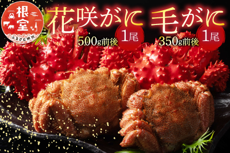 花咲がに500g前後×1尾、毛がに350g前後×1尾セット A-54004