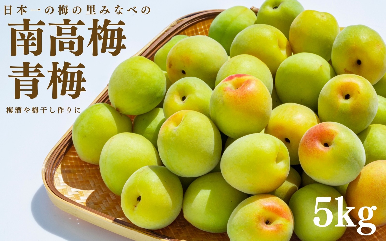 
                  青梅（南高梅） 5kg 　mnbcho003A
                