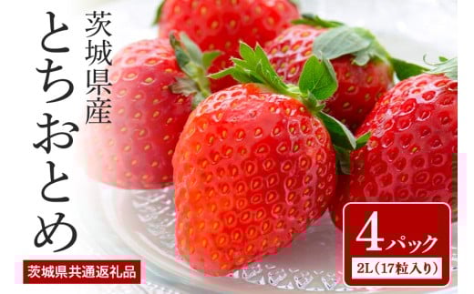 【数量限定・先行予約】 とちおとめ 2L（17粒入り）×4パック 1kg以上 いちご イチゴ 苺 フルーツ 果物 くだもの ＜2026年1～3月発送予定＞ （茨城県共通返礼品 石岡市） 71-D