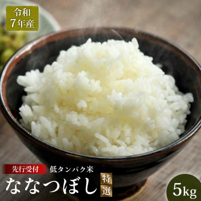 ふるさと納税 三笠市 先行受付【令和7年産】最もおいしいとされるお米　ななつぼし(特選)5kg【41002】