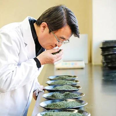 ふるさと納税 田川市 八女高級煎茶100g×8本セット |  | 01