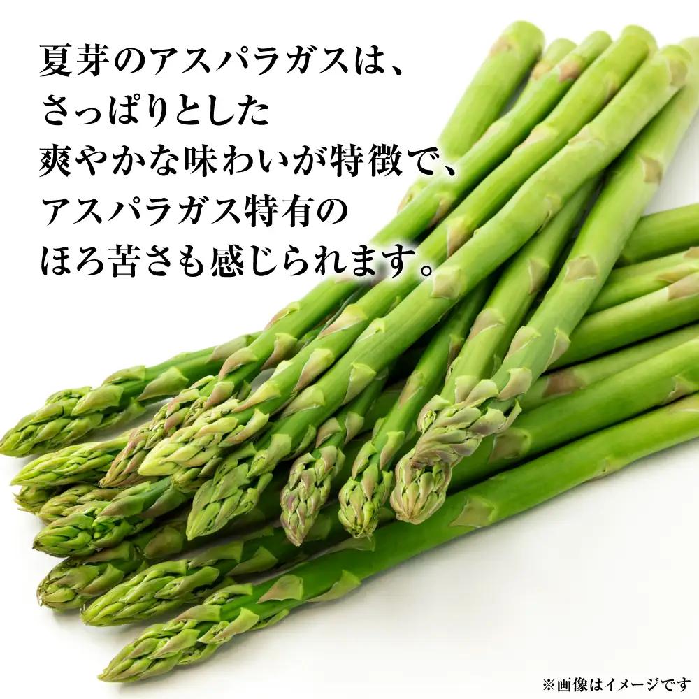 アスパラガス 1kg （M～2Lサイズ混合） アスパラ 新鮮 夏野菜 野菜 やさい 旬 産地直送 野菜ソムリエサミット 銀賞 熊本県 八代市