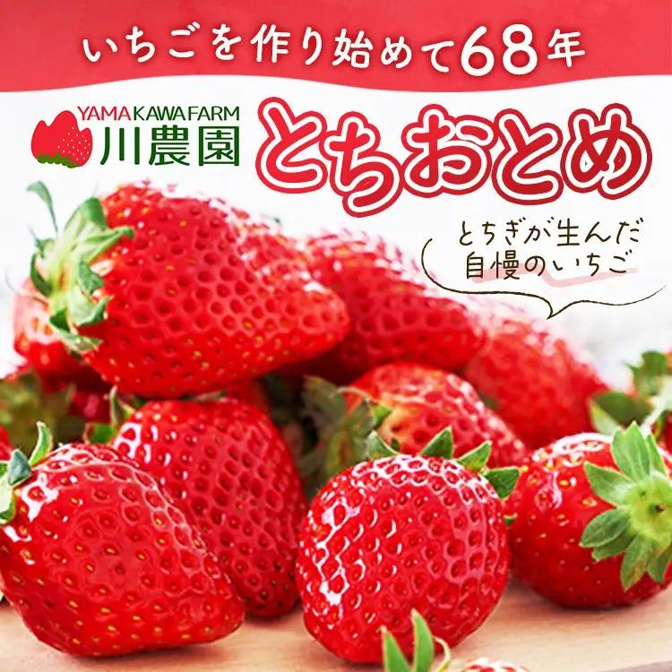 【先行予約】とちおとめ ご家庭用 320g×4パック 約1.2kg グランデサイズ いちご アフター対応あり いちご ※2027年1月～発送