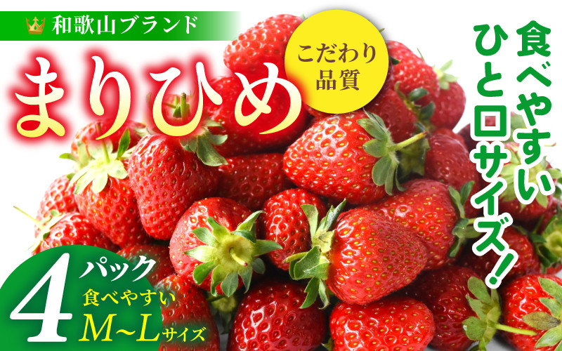 
            【先行予約】まりひめイチゴ4パック 食べやすいひと口サイズ M～L（15粒～20粒入×4パック）【2026年1月初旬～3月下旬頃に順次発送】（お届け日指定不可）/ いちご 苺 まりひめ 和歌山 フルーツ【kgr034】
          