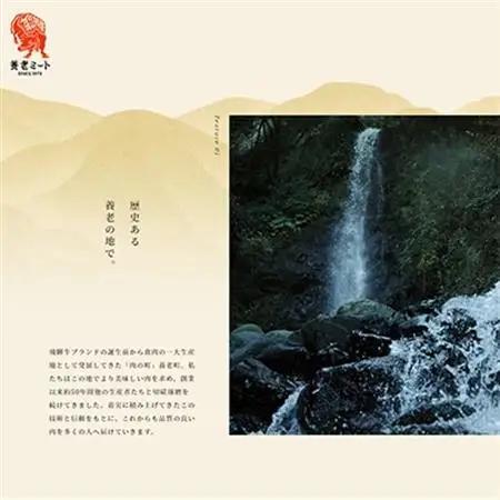 飛騨牛 モモブロック 300g【配送不可地域：離島】【1622913】