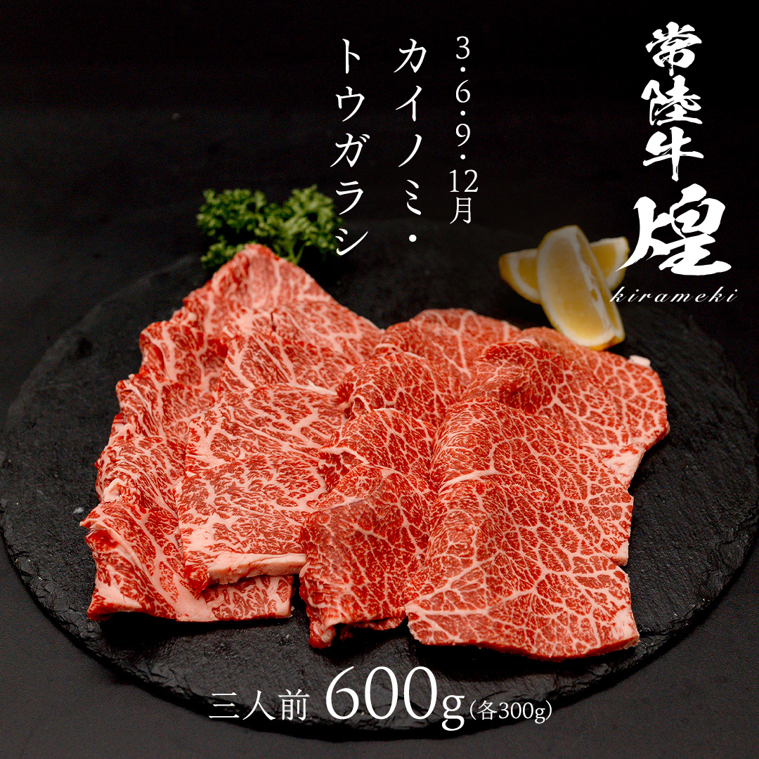 【定期便】＜全3回＞ 【 常陸牛 煌 】 三味食べつくしセット約3人前 (茨城県共通返礼品)  牛肉 ブランド牛 きらめき 和牛 A5 黒毛和牛 国産黒毛和牛 国産牛 希少 贈答 ギフト [BX156