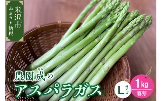 《 先行予約 》【 令和8年産 春芽 】 アスパラガス L 1kg （ 太物 L以上 ）〔 2026年 5月中旬頃 ～ 2026年 6月中旬頃 発送予定 〕 アスパラ 野菜 農園成 産地直送 農家直送 2026年産