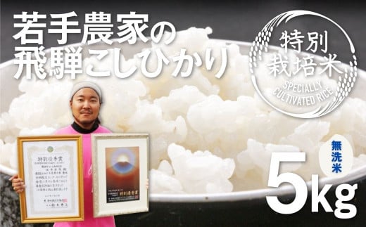 《先行予約》令和8年産【無洗米】こしひかり 5kg 特別栽培米 食味コンクール受賞農家の特別栽培米コシヒカリ 池本農園 syun108