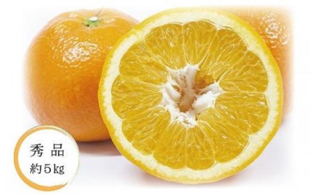 【2027年1月中旬頃から順次発送】いよかん＜秀品＞約5kg （ 愛媛産 愛媛県産 国産 愛媛みかん 愛媛蜜柑 愛媛ミカン みかん ミカン mikan 蜜柑 柑橘 フルーツ 果物 くだもの お取り寄せ