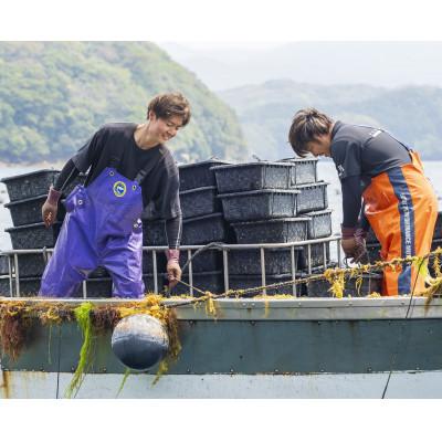 ふるさと納税 長崎市 PT900 / 7.5mm アコヤ真珠　ピアス |  | 02