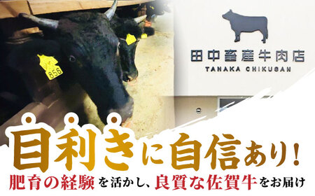 【全12回定期便】佐賀牛大満喫定期 HBH043 焼肉 佐賀牛 スライス 霜降り 国産 和牛