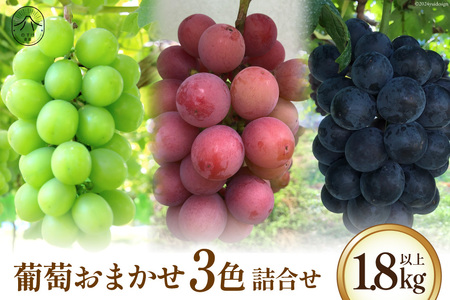 【2025年発送】 葡萄おまかせ 3色 詰合せ 1.8kg以上 【シャインマスカット1房、赤系葡萄1房、黒系葡萄1房】 [のすけ農園 山梨県 韮崎市 20742919] ぶどう ブドウ 葡萄 セット 詰め合わせ 果物 フルーツ シャインマスカット 期間限定 季節限定 数量限定