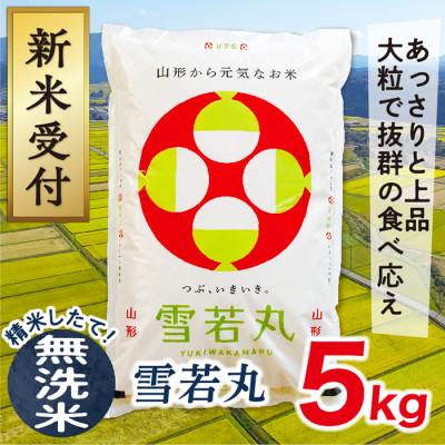 ふるさと納税 最上町 【令和8年産先行受付】山形県産雪若丸5kg(無洗米)