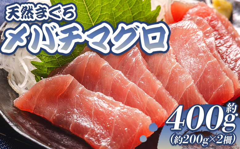 
            マグロ 小分け 計約400g 2冊 刺し身 天然 まぐろ メバチマグロ - 鮪 まぐろ 赤身 寿司 刺身 海鮮丼 漬け丼 アボカドサラダ おつまみ 海の幸 高知県 香南市 oo-0003
          