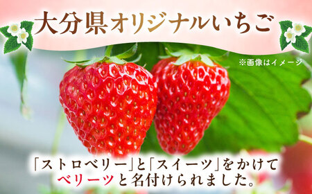 【先行予約・2月中旬以降発送】 「ベリーツ」平大玉 約280g×2パック　日田市 / 株式会社スカイファーム[AREU001]