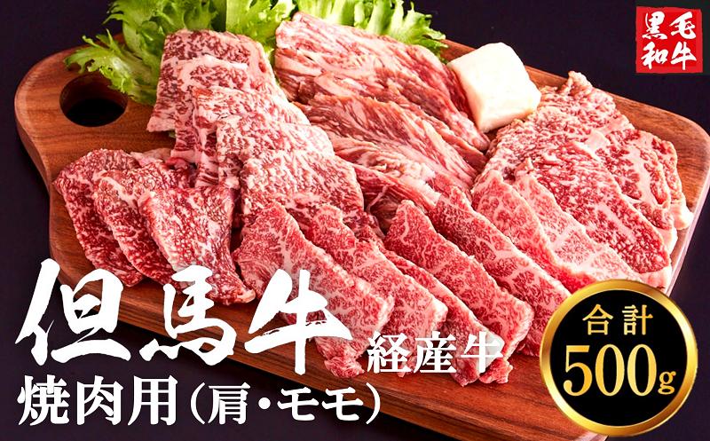 
            但馬牛経産牛　焼肉用（肩・モモ）500ｇ 010AA05N.／焼肉セット 黒毛和牛 いちかわ精肉店 経産牛 牛肉 肉 お肉 国産 bbq バーベキュー 焼き肉セット アウトドア キャンプ 冷凍 焼き肉用
          