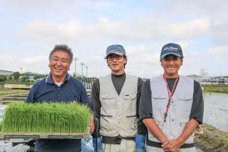 新米 [定期便／6ヶ月連続][令和8年産／10月中旬より順次発送] 伊勢原産 精米 10kg (5kg×2袋) はるみ 農家直送！亀井さんちのうんめぇ！自家製米 [1141]