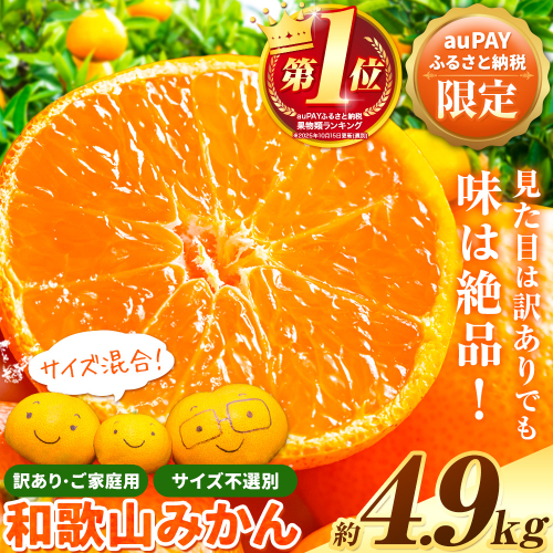 【auPAYふるさと納税限定】総合ランキングTOP10  訳ありみかん (3S～3L) 約4.9kg《11月上旬-12月末頃出荷》和歌山県 日高川町 柑橘類 柑橘 果物 フルーツ ミカン 訳ありみかん 家庭用 お試し みかん※出荷時期変更しました!※