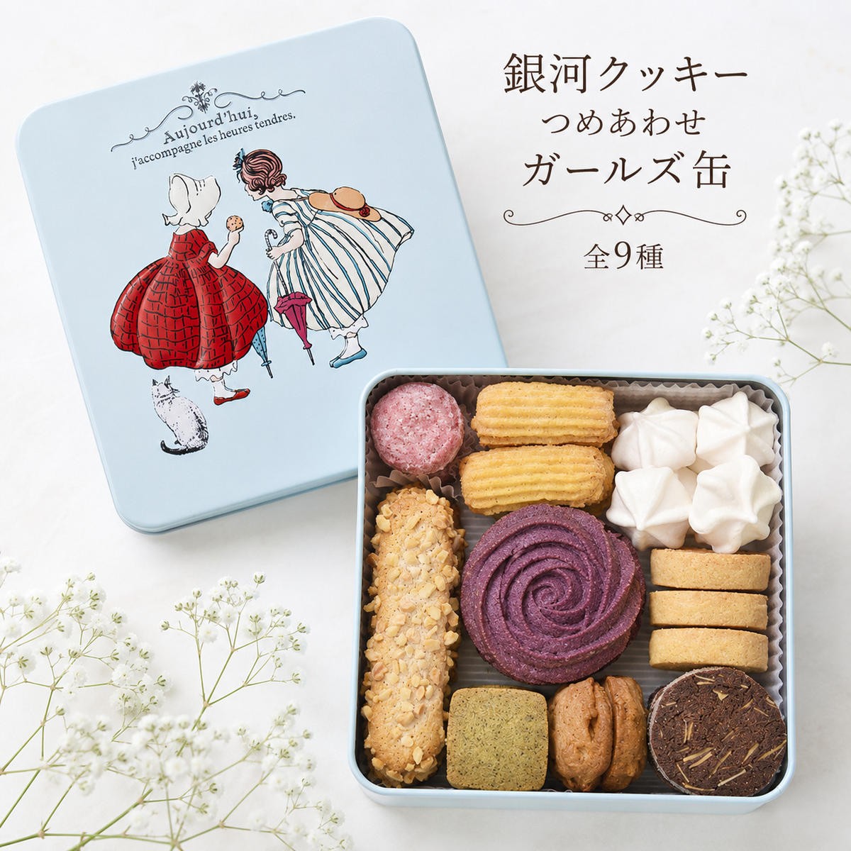 
                  クッキー缶 無添加 スイーツ クッキー 缶 ガールズ缶 9種の焼き菓子詰合せ 詰め合わせ 銀河工場 焼き菓子 国産 バター お菓子 手土産 おしゃれ 可愛い ご褒美 贈り物 奈良県 大和郡山市 [№5990-0927]
                