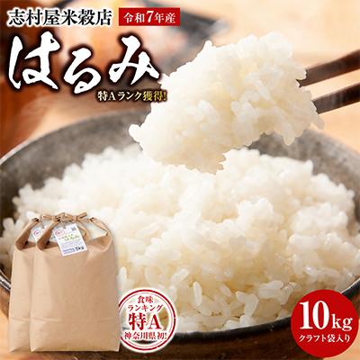 ふるさと納税 小田原市 令和7年産 小田原の米「はるみ」10kg(5kg×2)