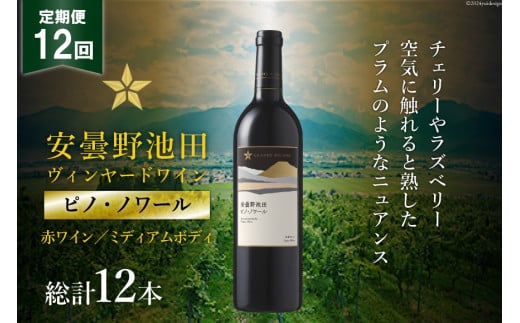 12回 定期便 赤ワイン サッポロ グランポレール 安曇野池田ヴィンヤード「ピノ・ノワール」750ml 総計12本 [池田町ハーブセンター 長野県 池田町 48110623] 赤 ワイン ミディアムボディ お酒 酒