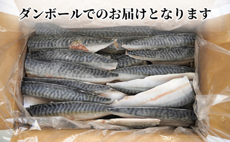 訳あり 塩サバ 腹骨取り 約3.5kg 【12月以降配送】 サバ