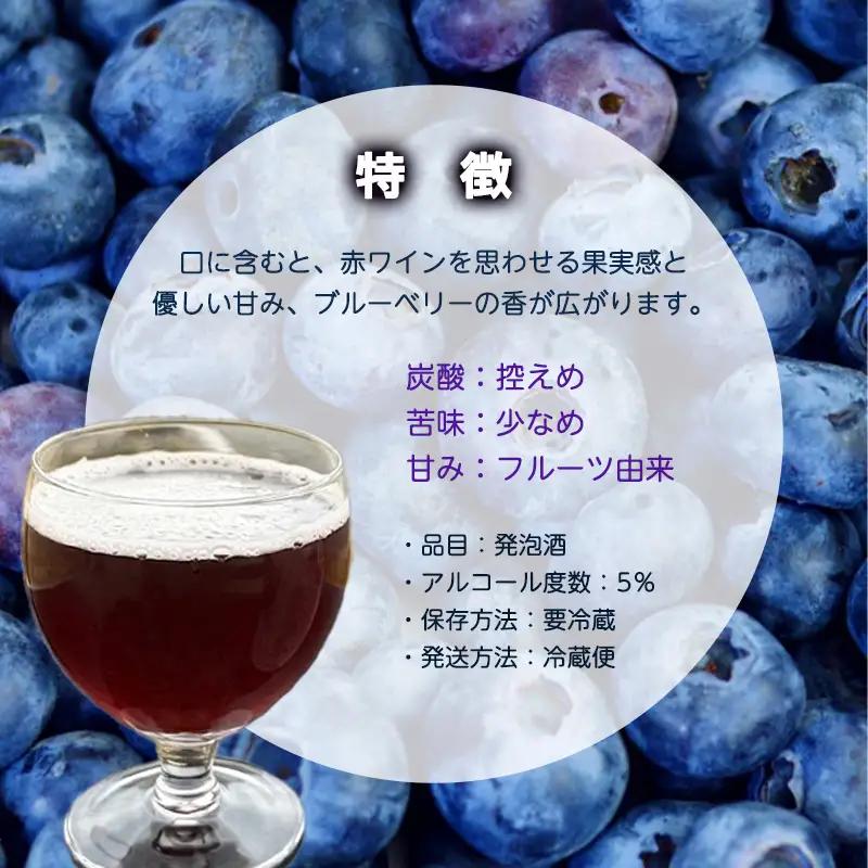 ブルーベリーミライエール 330ml×3本 |  地ビール クラフトビール