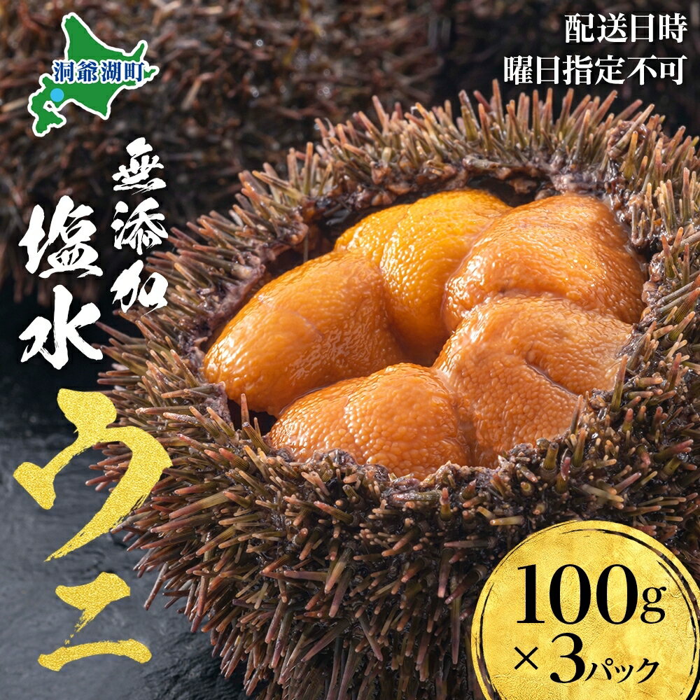 【ふるさと納税】北海道 無添加塩水 ウニ 100g 3パック 6月中旬～7月末頃まで順次出荷 バフン ムラサキ うに 雲丹 海鮮 小川商店 　お届け：2025年6月中旬～7月末頃まで順次出荷　※配送日時・曜日指定不可・水揚げ後順次出荷のみ対応となります。