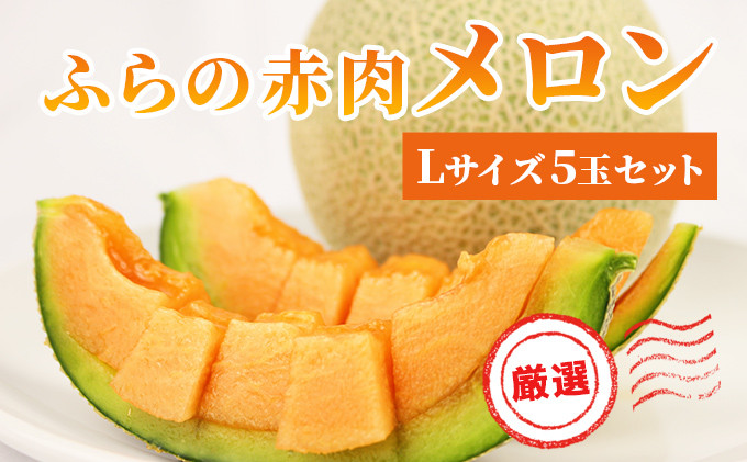 【 2026年発送 先行予約 】ふらの 赤肉メロン 厳選 甘味 Lサイズ 1.6kg~1.9kg 5玉 セット ファーム富良野 メロン めろん 富良野メロン 果物 くだもの フルーツ 富良野 デザート 北海道 北海道上富良野町