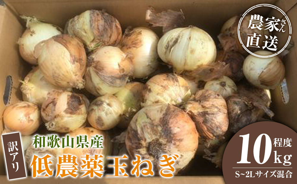 ［2026年発送分・先行予約］訳あり 農家さん直送 低農薬玉ねぎ 10kg程度 S～2L混合［4月中旬～7月中旬頃発送予定］ご家庭用 ※傷有り［KF14］