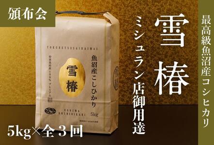 【2025年産新米】【3ヶ月定期便】最高級魚沼産コシヒカリ「雪椿」5kg (5kg×1袋) 特別栽培米