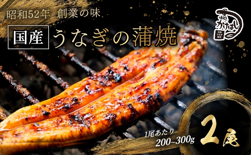 
                  昭和52年創業の味 手焼き 国産うなぎ 蒲焼き 2尾 1尾あたり 200～300g 国産 鰻 美味しい 職人仕上げ ふっくら肉厚 タレ付き 冷凍発送 ギフト 贈答用 お取り寄せ グルメ ご飯のお供 九州 福岡 老舗の味
                