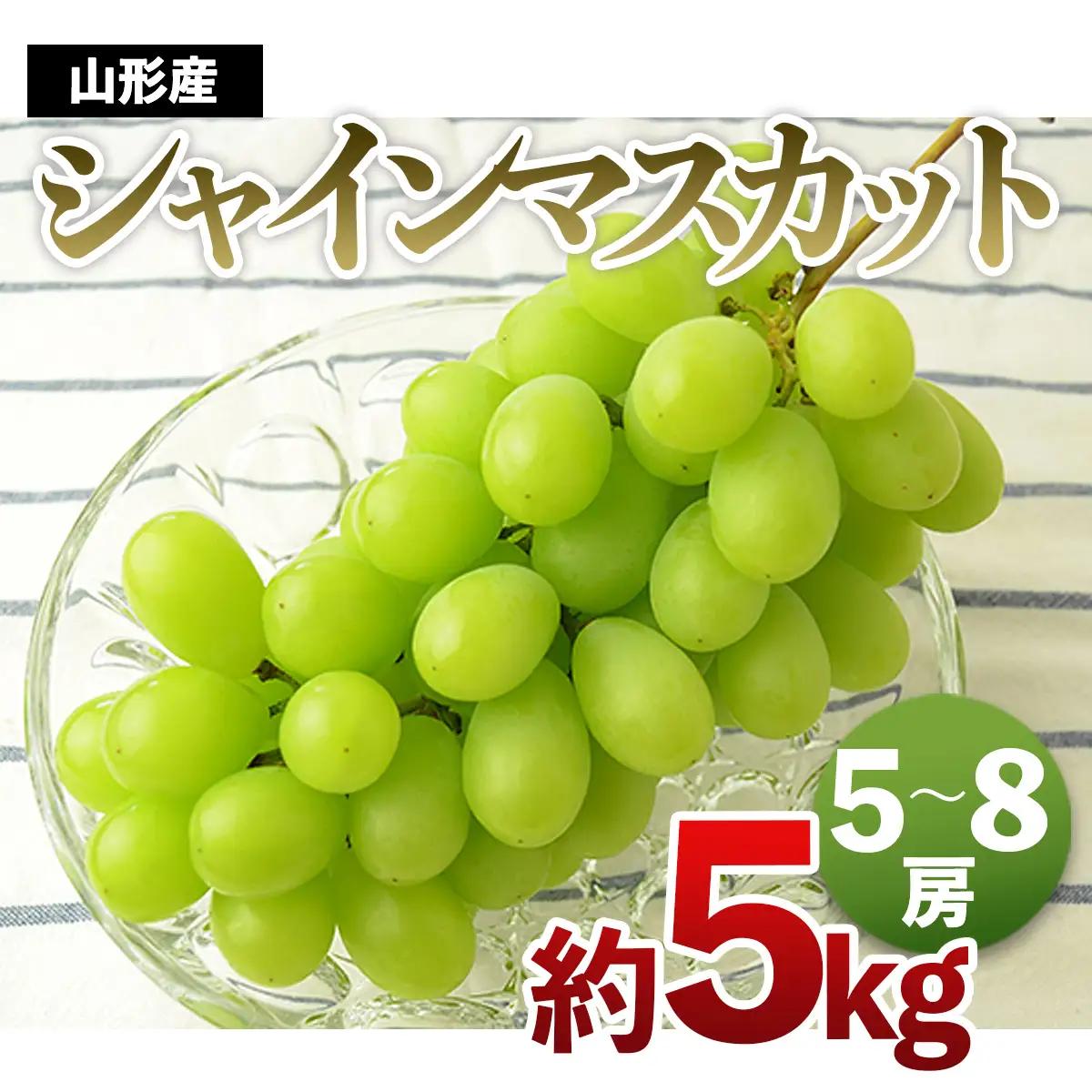 山形の大粒シャインマスカット 秀品 約5kg(5～8房)[10中旬～11月中旬発送]【令和8年産先行予約】FS24-646 くだもの 果物 フルーツ 山形 山形県 山形市 2026年産