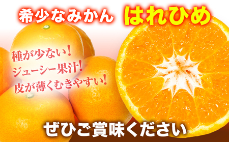 【先行予約】みかん はれひめ 約 5kg 25玉 ～ 30玉 紀農人株式会社《2026年12月中旬-2027年1月末頃出荷》 和歌山県 紀の川市 果物 フルーツ 柑橘 蜜柑 柑橘類 旬