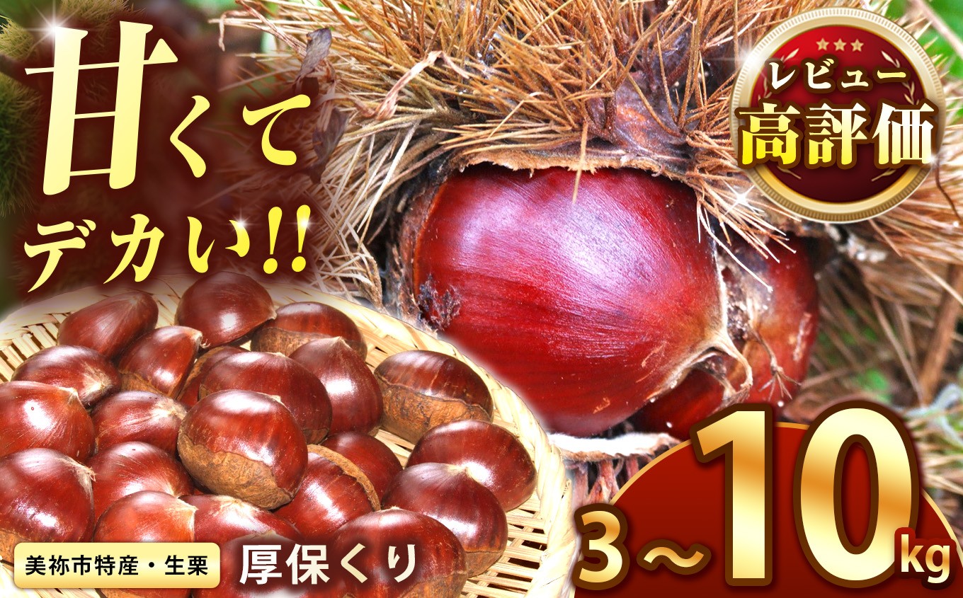 
                  【先行予約】甘くて デカい ! 厚保くり ( 生栗 ) 3kg・5kg・ 10kg 山口美祢産 先行予約 ＜2026年10月上旬～11月中旬頃 発送予定＞  ｜  山口 美祢 栗 くり 厚保 大きい 甘い 特産品 焼き栗 栗ご飯 生栗 期間限定 季節限定 先行予約 3kg 5kg 10kg
                