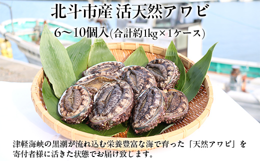 北斗市産 活天然アワビ 6～10個入 HOKAJ002