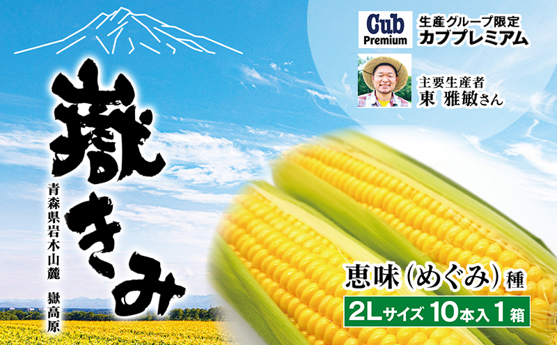 
【8月中旬より順次発送】青森県弘前市産 嶽きみ (だけきみ) 2Lサイズ 10本 【 岩木山麓嶽高原産 とうもろこし 】
