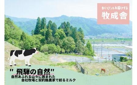 ＜牧成舎＞ 飛騨の牛乳屋のこだわり モッツァレラチーズ （4個入り） | フレッシュチーズ DF014
