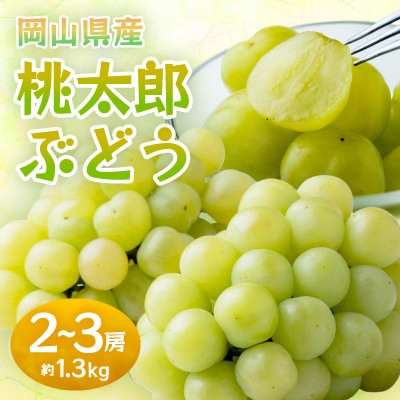 
            岡山県産桃太郎ぶどう　2～3房・約1.3kg(クール便)【1614361】
          