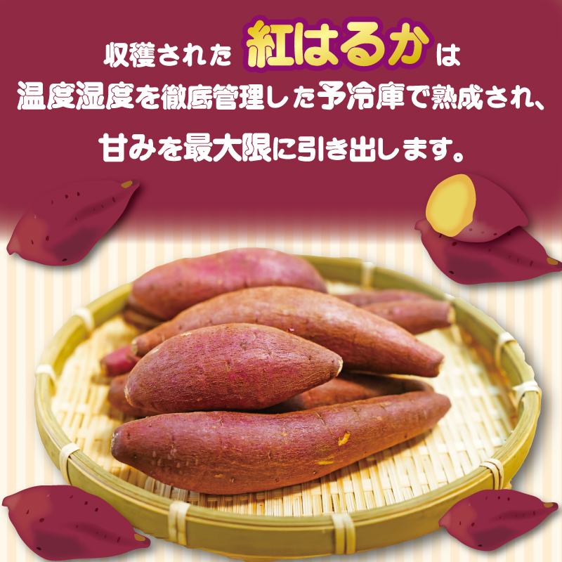 冷凍焼き芋 200g×6パック 健康 美容 整腸 いも 芋 おやつ お菓子 食物繊維 サツマイモ 天ぷら 冷凍 紅はるか 高知県 南国市