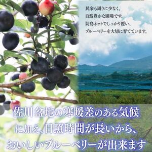 【ふるさと納税】＜ブルーベリー（冷凍） 3kg＞高知県 佐川町 果物 フルーツ 国産 【冷凍】冷凍ブルーベリー 常備果物　大容量　＜４～６ヶ月程度で発送予定（申込状況により遅れる場合があります）＞