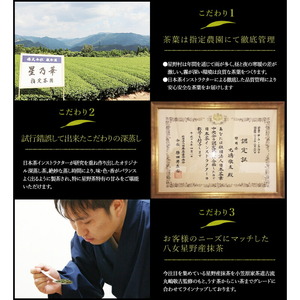 [八女茶] 訳あり品 八女星野茶 深蒸し茶 1100g お茶【015-0021】