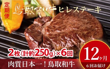 鳥取和牛　ヒレステーキ6回定期便お肉 肉 牛肉 和牛 鳥取和牛 牛肉 肉 国産 お肉 冷凍ヒレ ステーキ 牛肉 ヒレ 定期便 牛肉 定期便 6回 定期便 冷凍 最高級部位 希少部位 真空 鳥取県 倉吉市