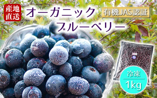 有機JAS認証【冷凍】オーガニックブルーベリー 1kg  オーガニック JAS認証 甘味 酸味 人気 美味しい セット 冷たい 調理 デザート 簡単 お手軽 熊本県 阿蘇市