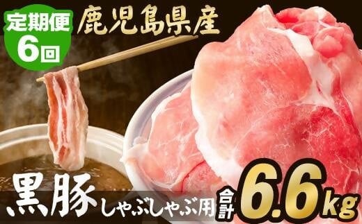 FS-006【定期便】鹿児島県産 黒豚 しゃぶしゃぶ用 1.1kg×6回 計6.6kg 豚肉