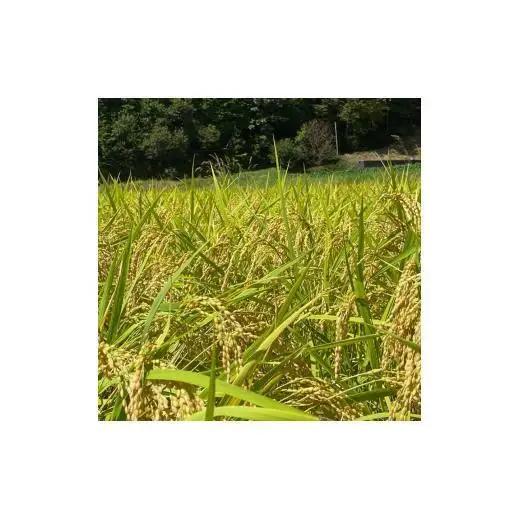 【兵庫県佐用町産】さよひめ営農のお米 10kg コシヒカリ/精米