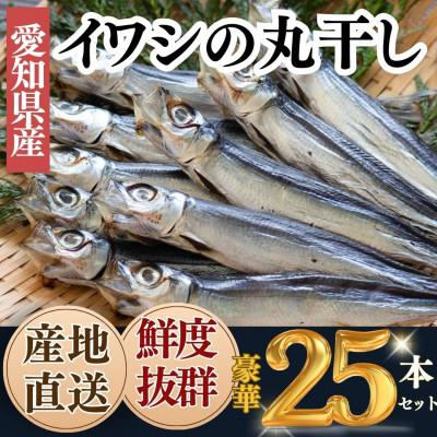 ふるさと納税 南知多町 三河湾・知多半島産 無添加いわし丸干し 5本入り×5袋(計25本)