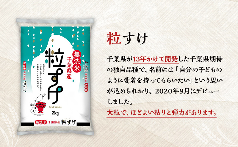 【2025年3月発送】お米 千葉県産 無洗米 2kg 2点セットC(無洗米コシヒカリ・無洗米粒すけ) 白米 米 食べ比べ セット