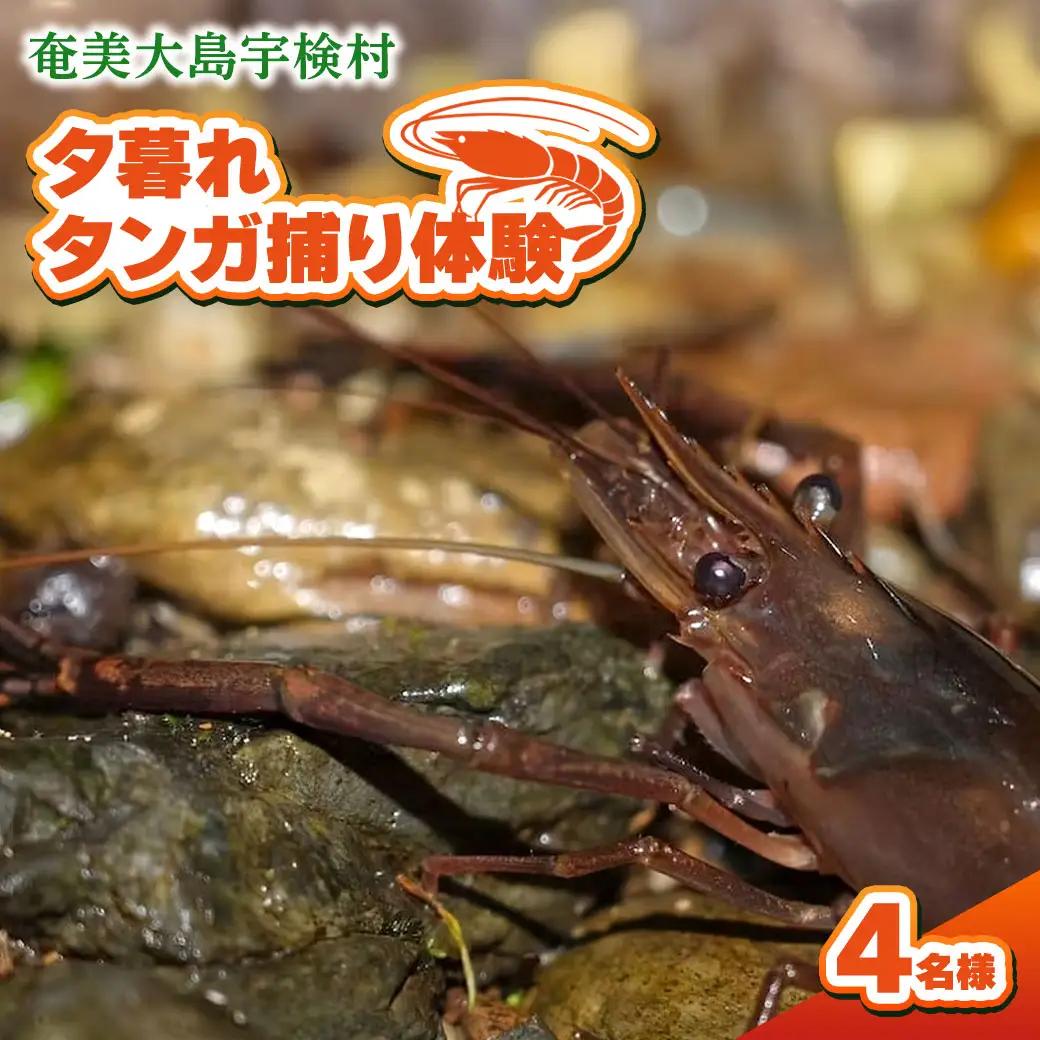 夕暮れタンガ捕り 体験 4名様 奄美大島 宇検村 鹿児島県 旅行 自然 冒険 完全プライベート