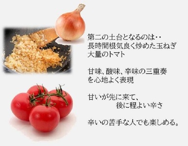 ＜水たき 玄海＞THE PUREMIUM 濃厚すぎる 鶏の旨味×野菜の旨味 水たき屋の本気の秘伝レシピ丹波赤どりカレー【10食入り】《送料無料 冷凍 お取り寄せ お取り寄せグルメ ギフト プレゼント 